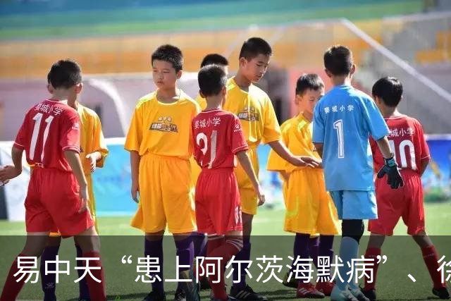 易中天“患上阿尔茨海默病”、徐帆“确诊认知障碍”、陈宝国“彻底发疯了”……